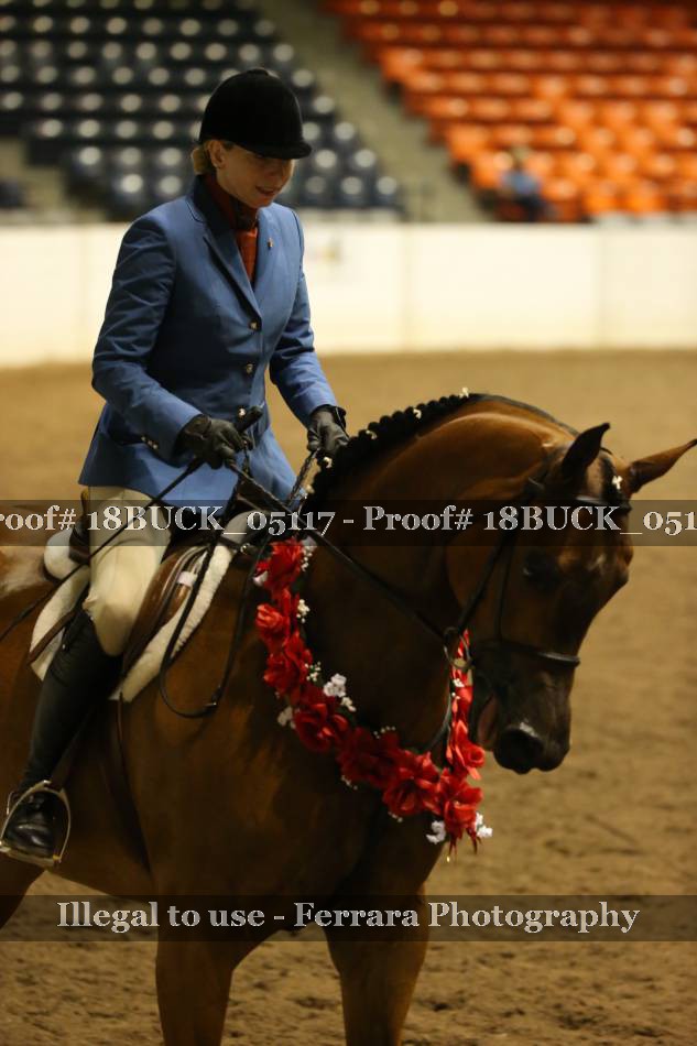 Proof 18BUCK_05117