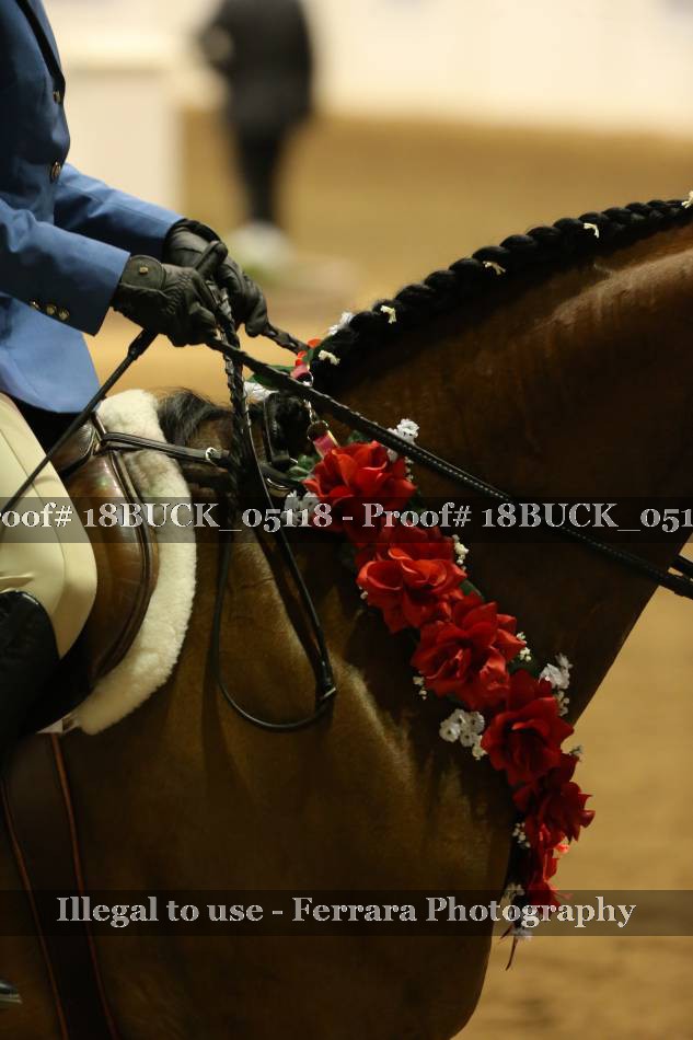 Proof 18BUCK_05118
