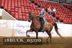 18BUCK_05120 proof