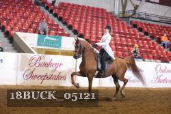 18BUCK_05121 proof