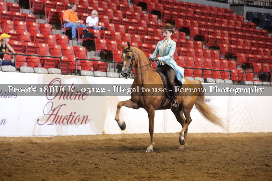 Proof 18BUCK_05122