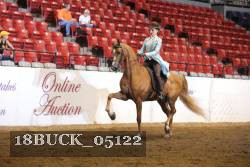 18BUCK_05122 proof