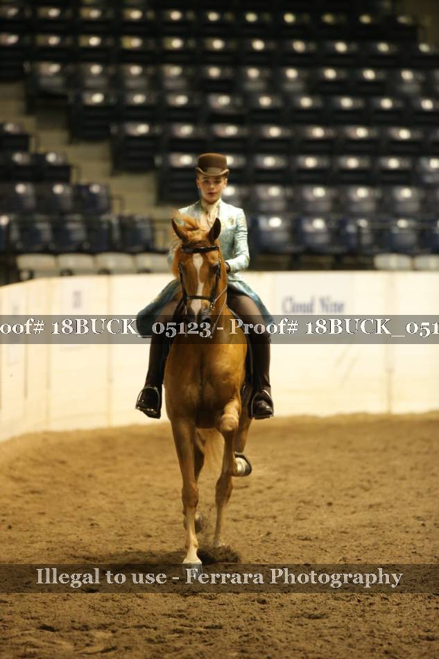 Proof 18BUCK_05123