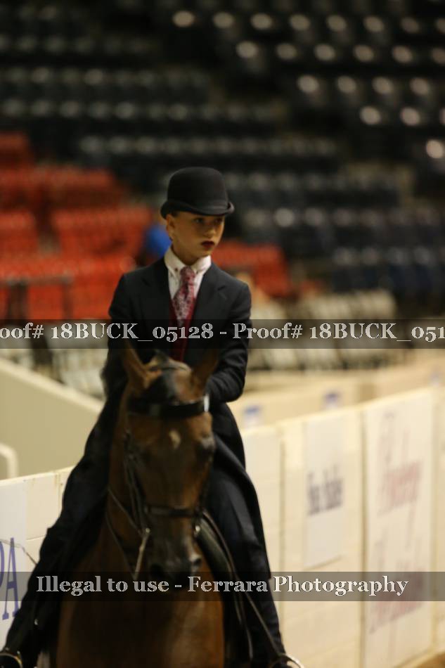 Proof 18BUCK_05128
