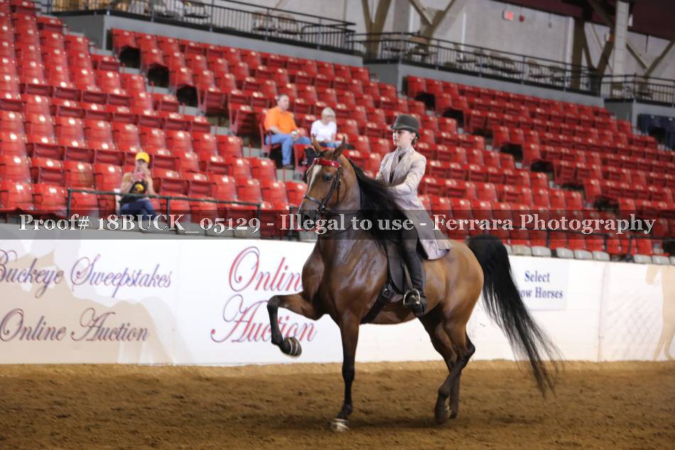 Proof 18BUCK_05129
