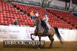 18BUCK_05129 proof