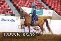 18BUCK_05130 proof