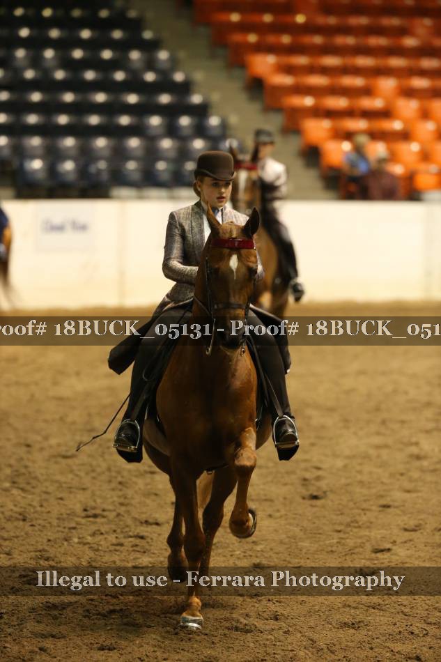Proof 18BUCK_05131