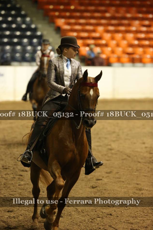 Proof 18BUCK_05132