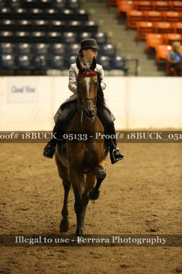 Proof 18BUCK_05133