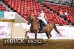 18BUCK_05134 proof