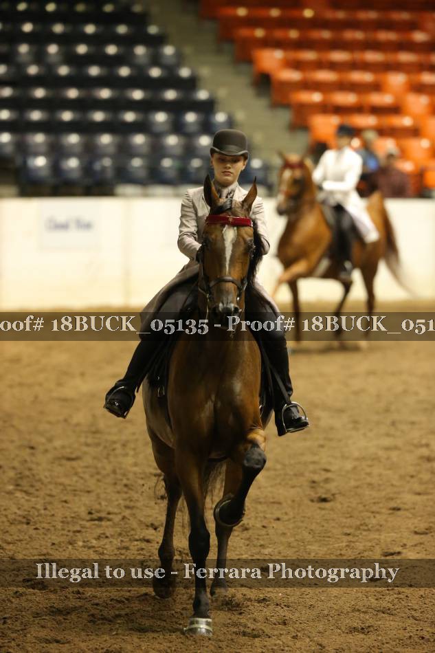 Proof 18BUCK_05135