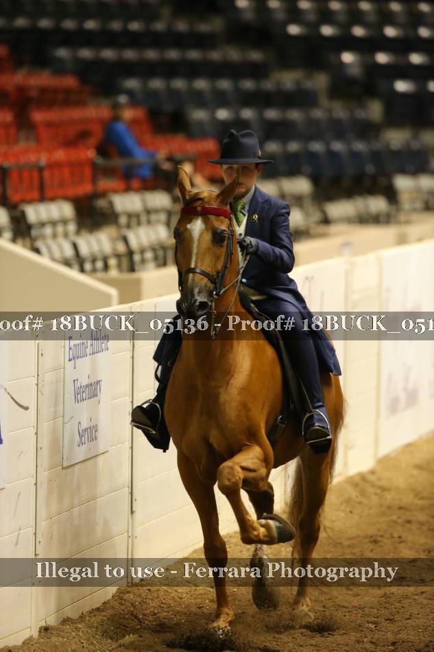 Proof 18BUCK_05136