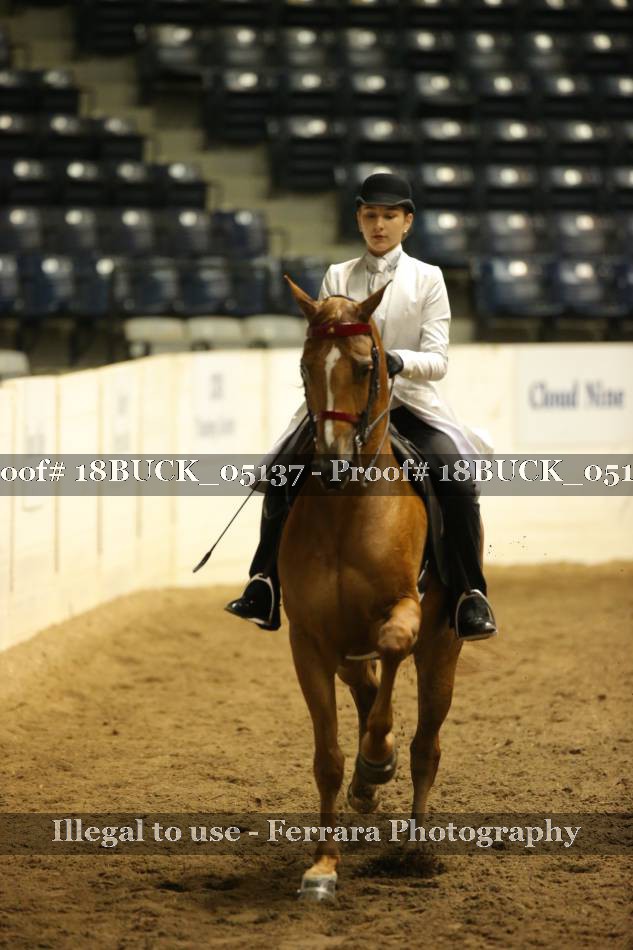 Proof 18BUCK_05137