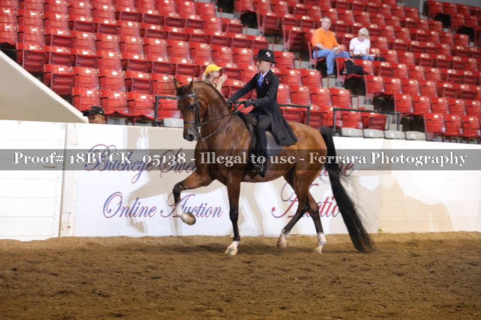 Proof 18BUCK_05138
