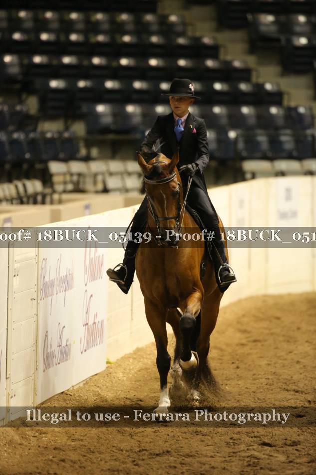 Proof 18BUCK_05139