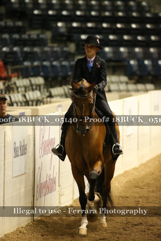 Proof 18BUCK_05140