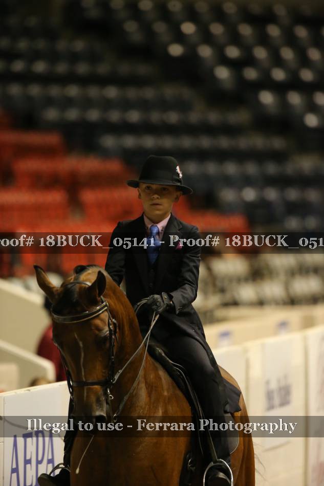 Proof 18BUCK_05141