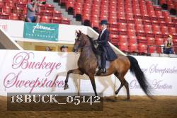 18BUCK_05142 proof