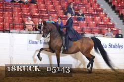 18BUCK_05143 proof