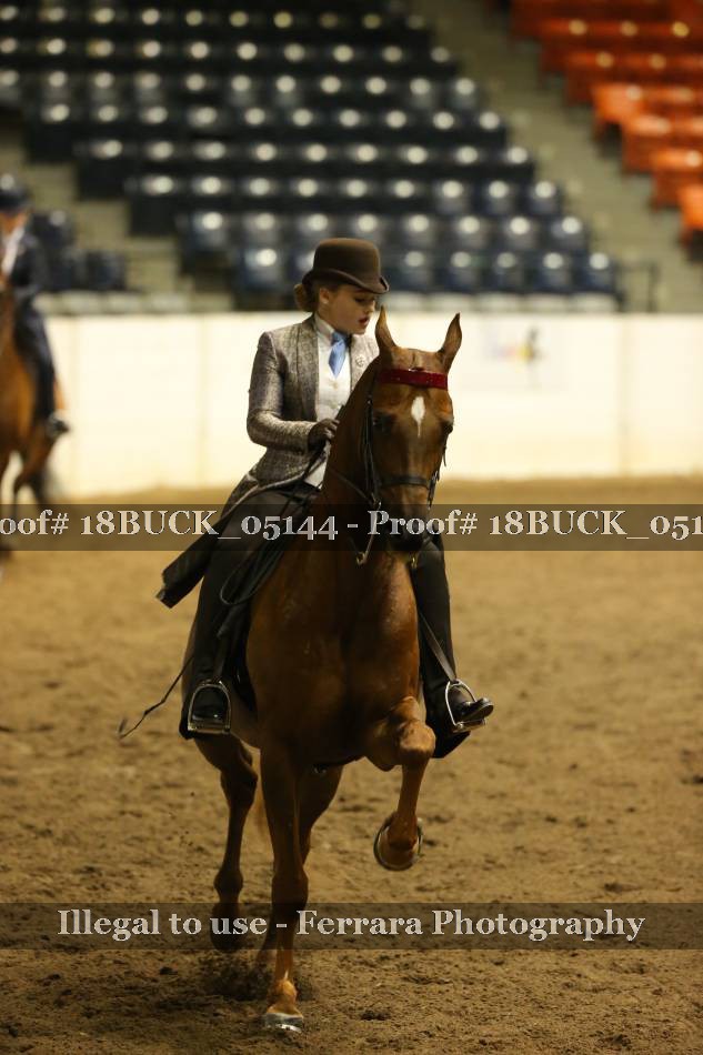 Proof 18BUCK_05144