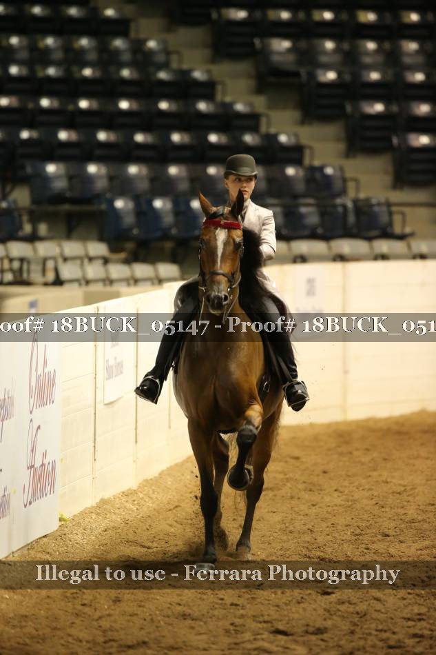Proof 18BUCK_05147