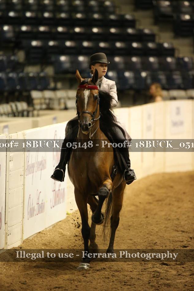 Proof 18BUCK_05148