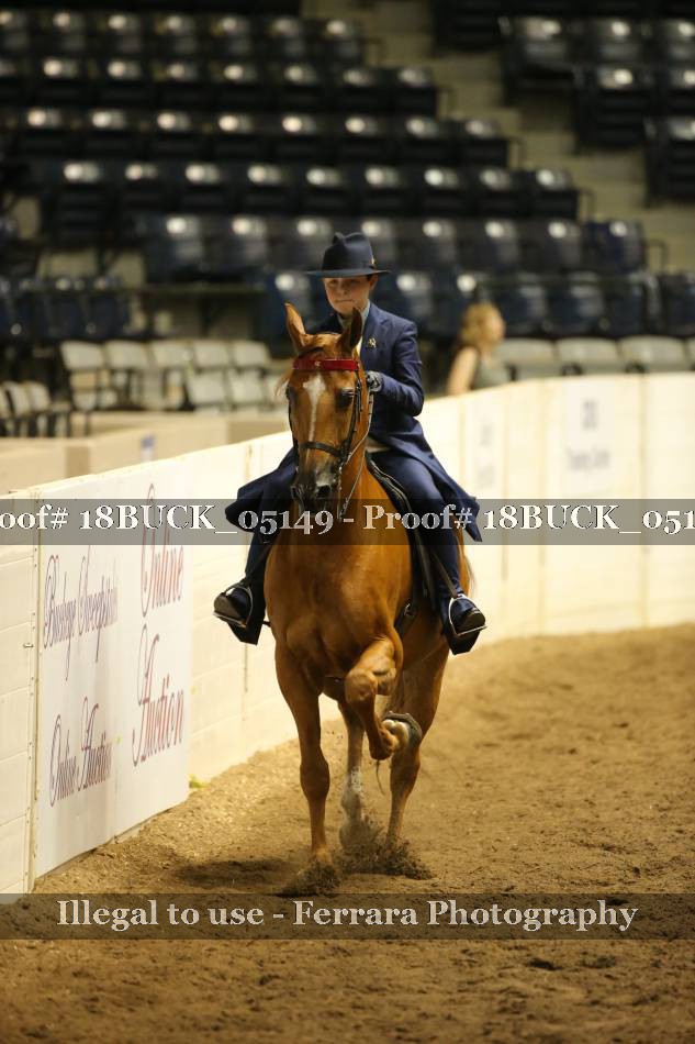 Proof 18BUCK_05149