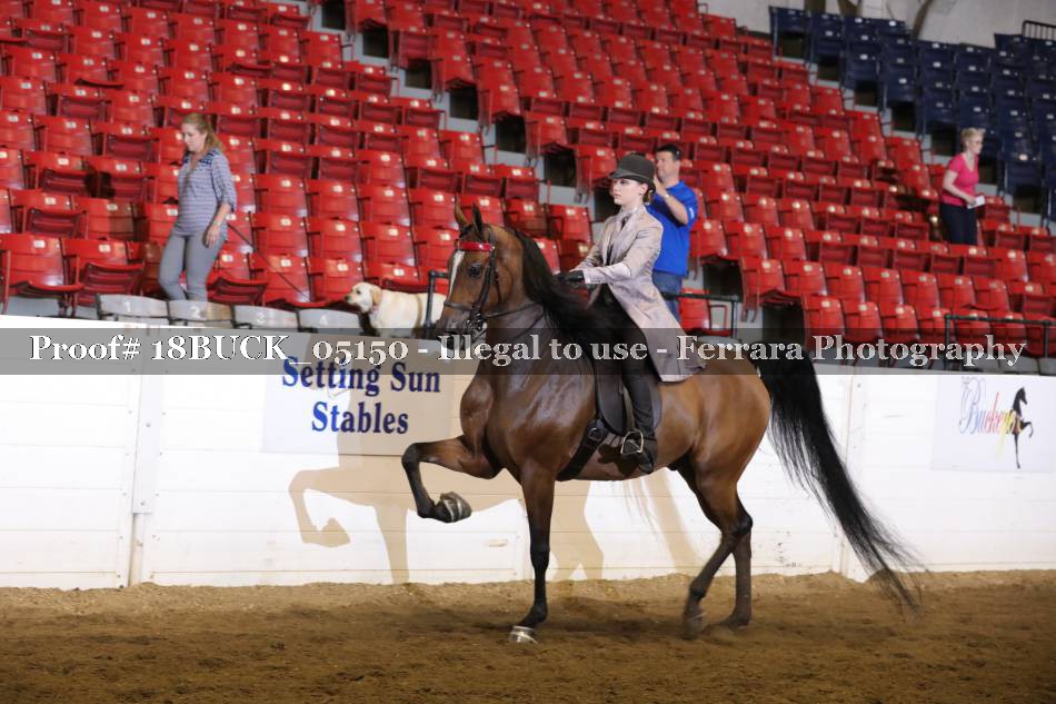 Proof 18BUCK_05150