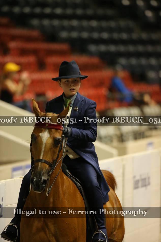 Proof 18BUCK_05151