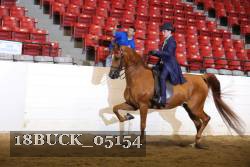 18BUCK_05154 proof