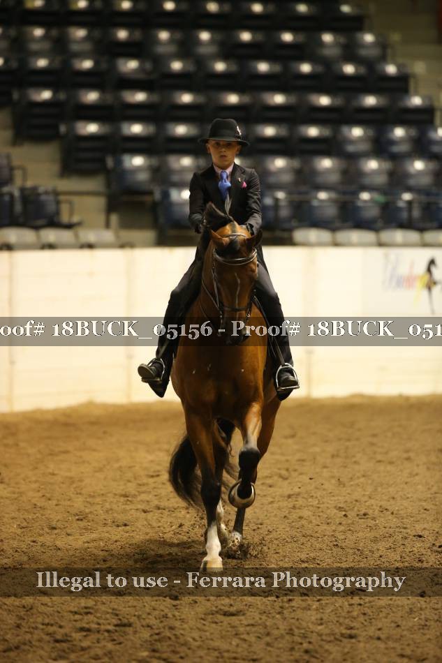 Proof 18BUCK_05156