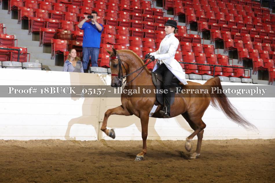 Proof 18BUCK_05157