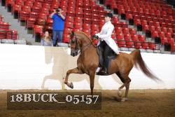 18BUCK_05157 proof