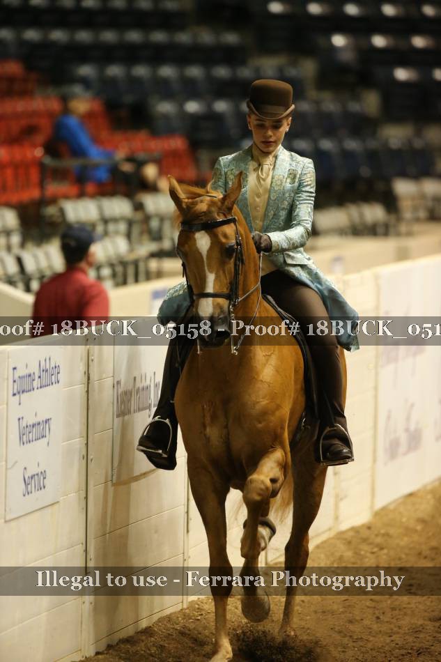 Proof 18BUCK_05158