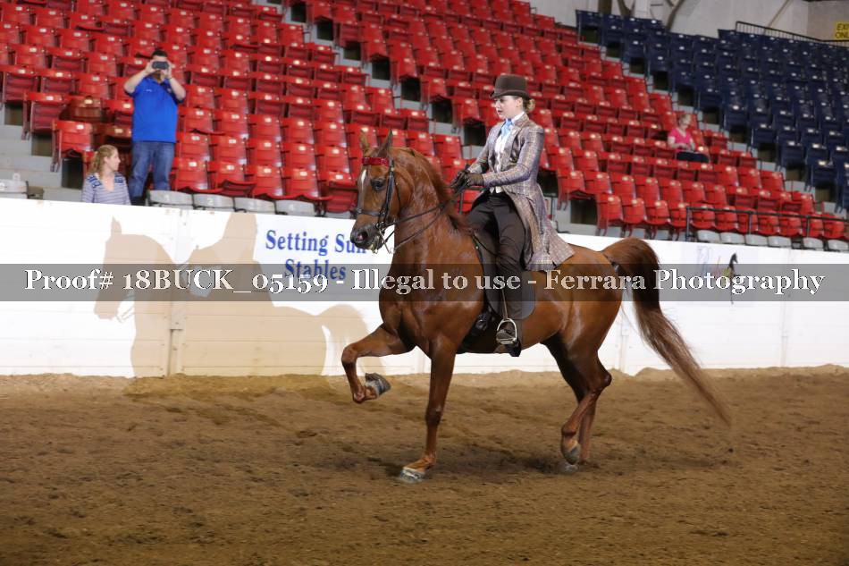 Proof 18BUCK_05159