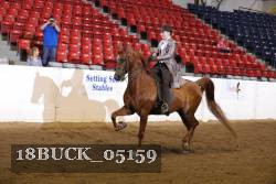 18BUCK_05159 proof