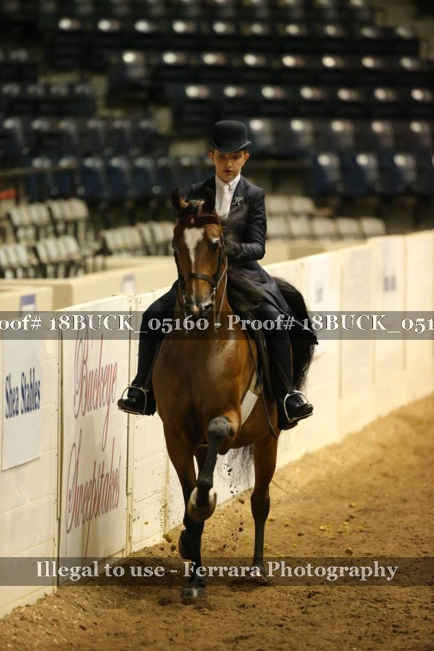 Proof 18BUCK_05160