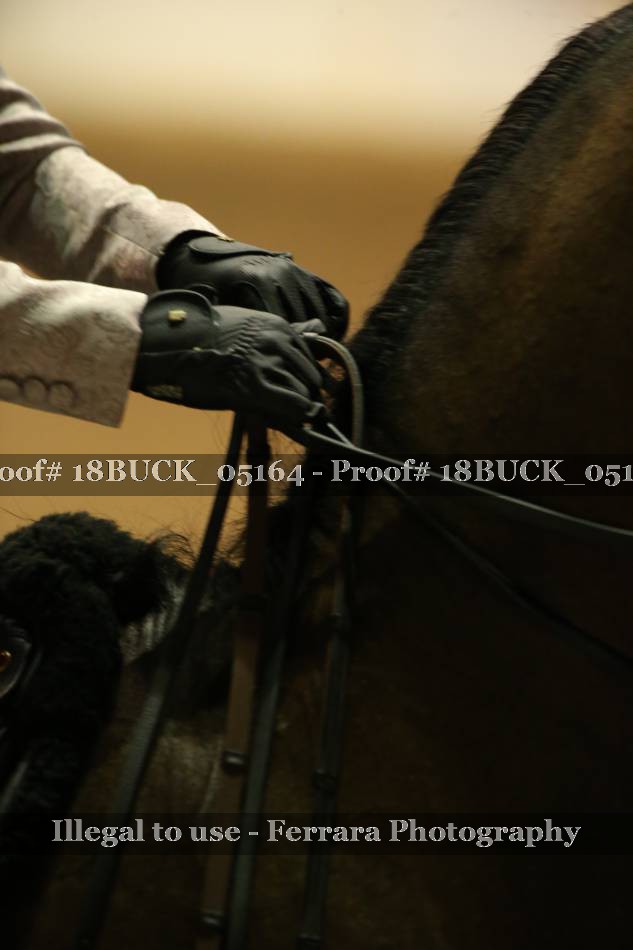 Proof 18BUCK_05164