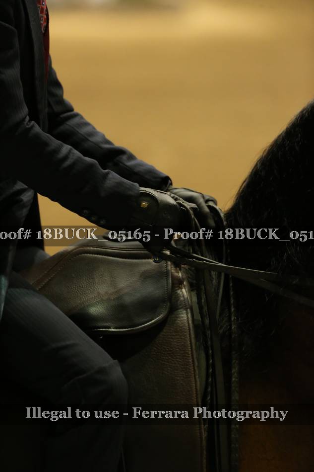 Proof 18BUCK_05165