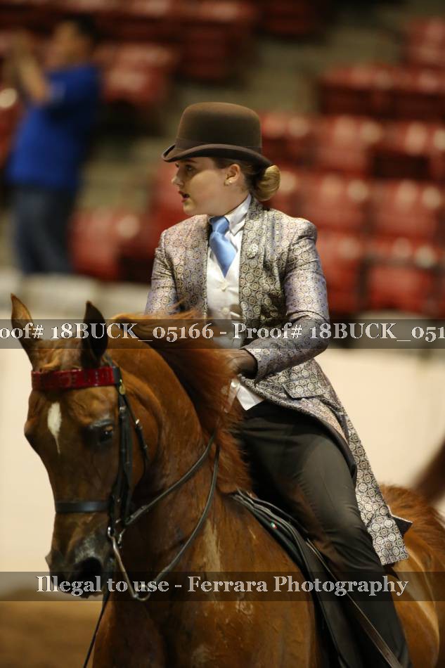 Proof 18BUCK_05166