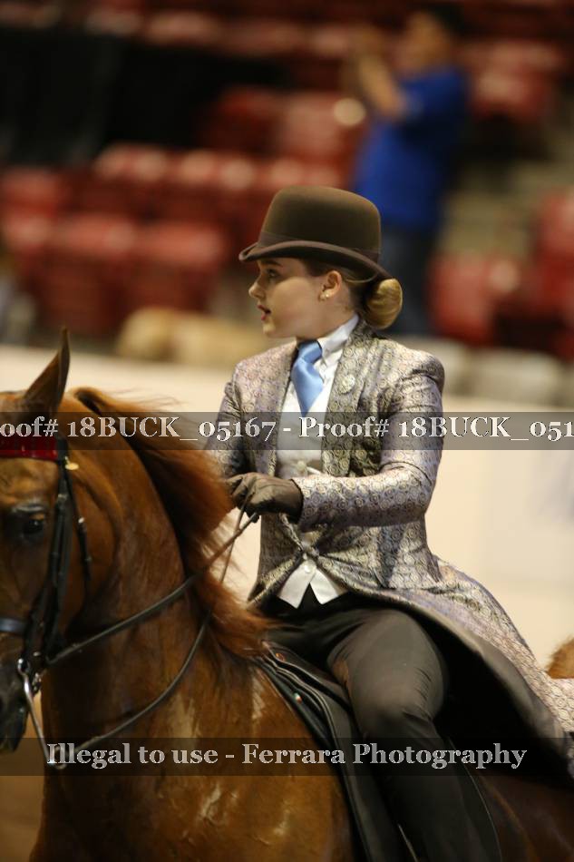 Proof 18BUCK_05167