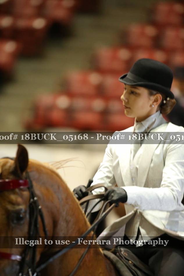 Proof 18BUCK_05168