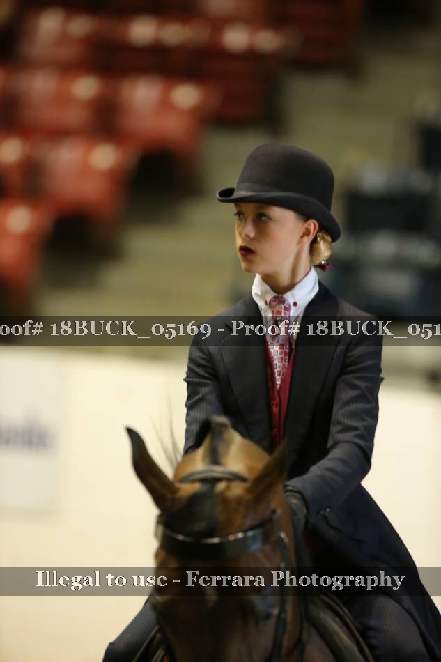Proof 18BUCK_05169