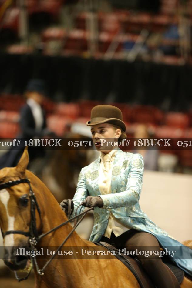 Proof 18BUCK_05171
