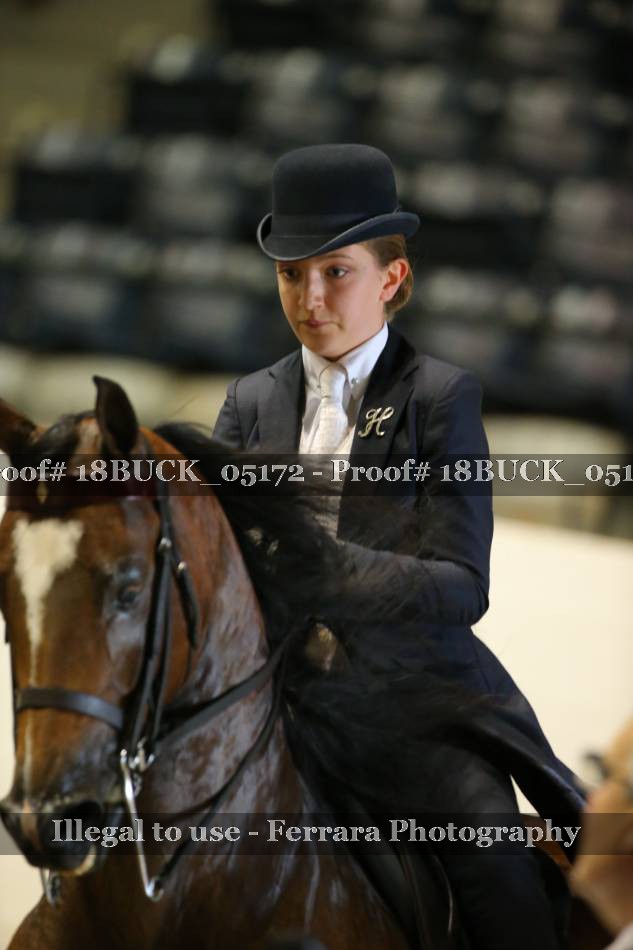 Proof 18BUCK_05172