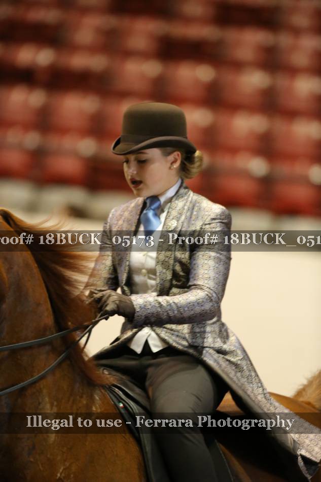 Proof 18BUCK_05173