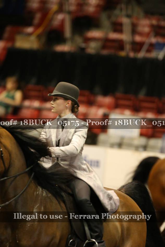 Proof 18BUCK_05175