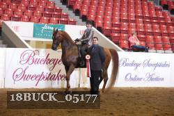 18BUCK_05177 proof