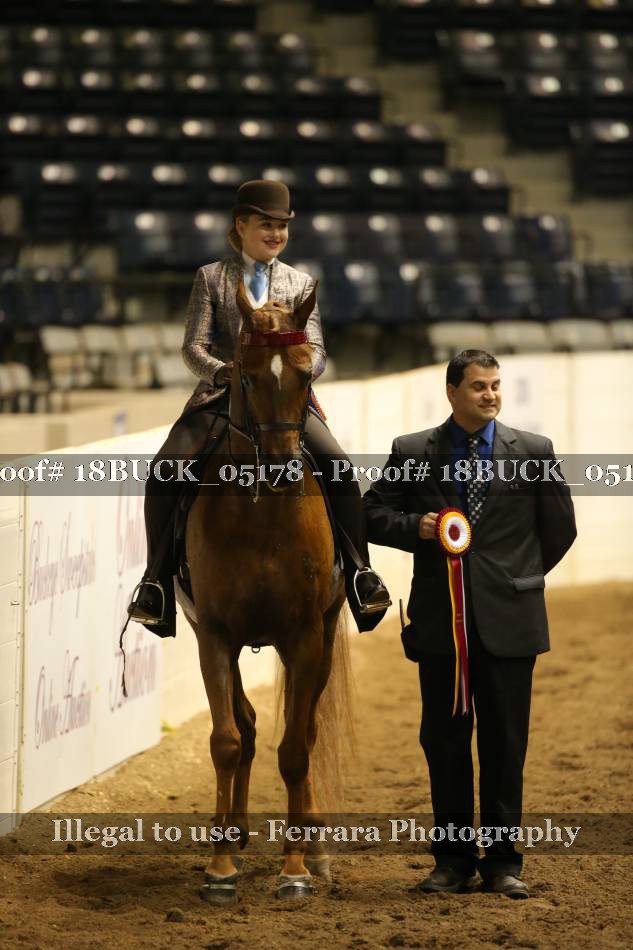 Proof 18BUCK_05178